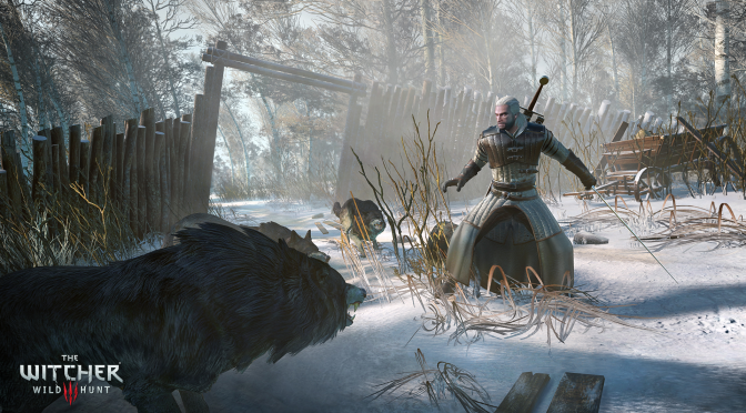 The Witcher 3 – several mods